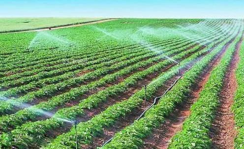 无码骚逼农田高 效节水灌溉